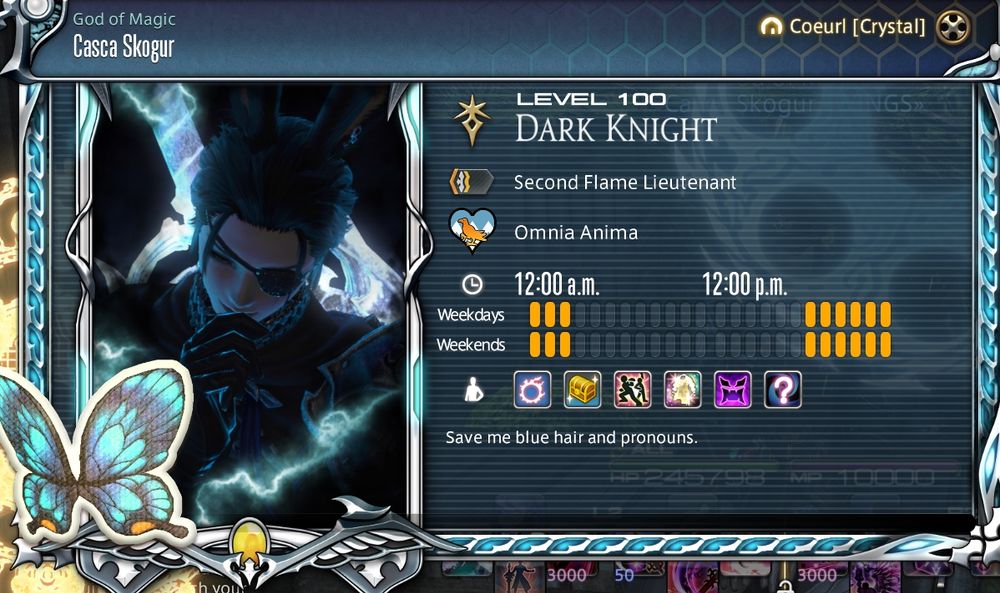 A picture of my adventure plate in the critically acclaimed mmorpg ffxiv online.