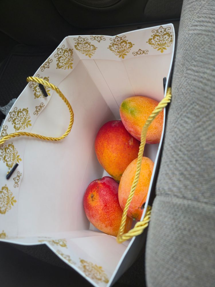 Bag with 4 juicy mangos.