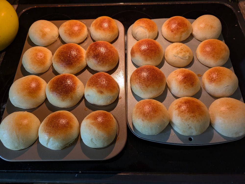 2 dozen sourdough brioche rolls cooling in the muffin tins that they were baked in 