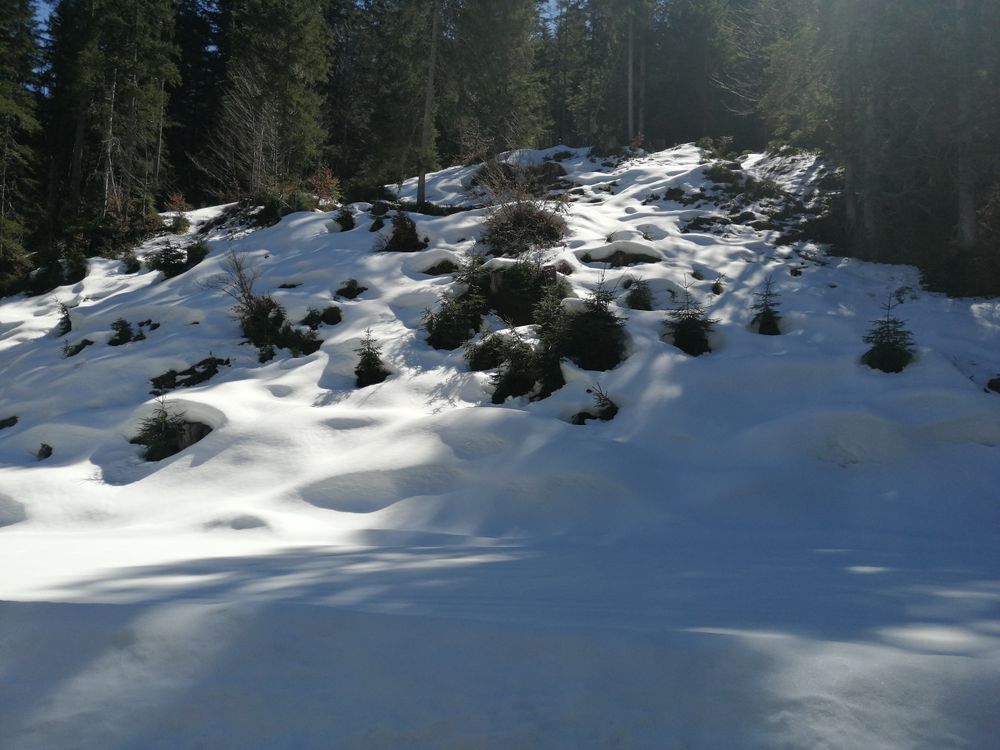 A deep bank of snow, Austria 