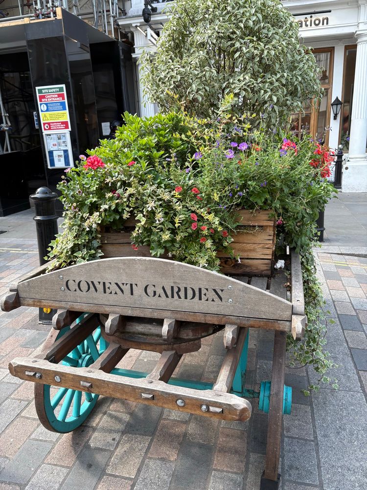 Covent Garden flower basket 