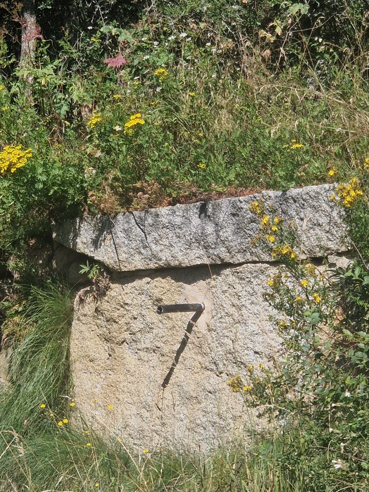A water pipe sticks out from a rock in a bank covered in wildflowers. The shadow of the pipe on the rock makes it look exactly like the number '7'