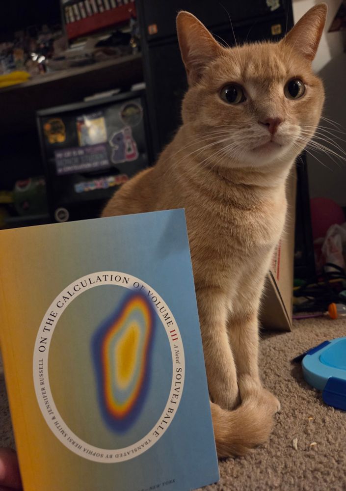 Penny, a petite ginger cat, has a look of slight confusion as to why she has to pose with Solvaj Balle's book On The Calculation Of Volume III