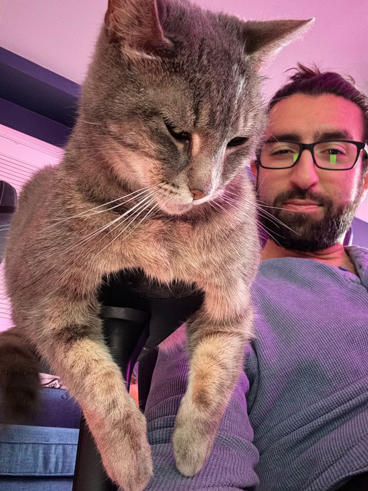 dimo in his office with his office mate— a kitten named Luna (10)