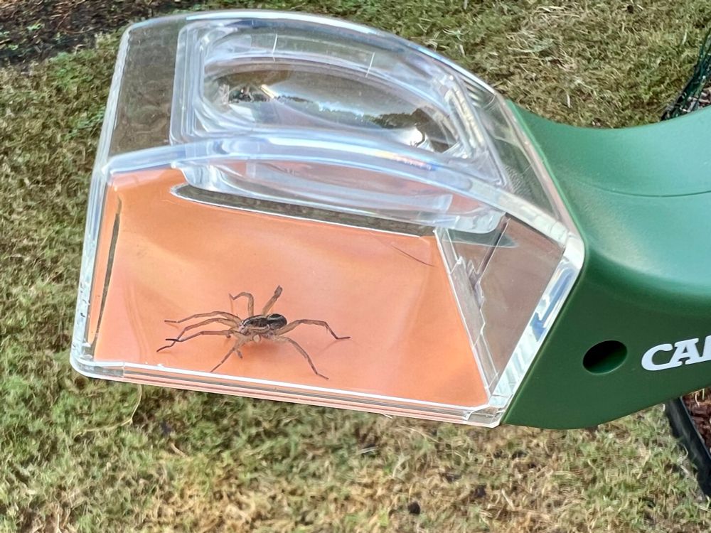 A plexiglass box with a spider inside 