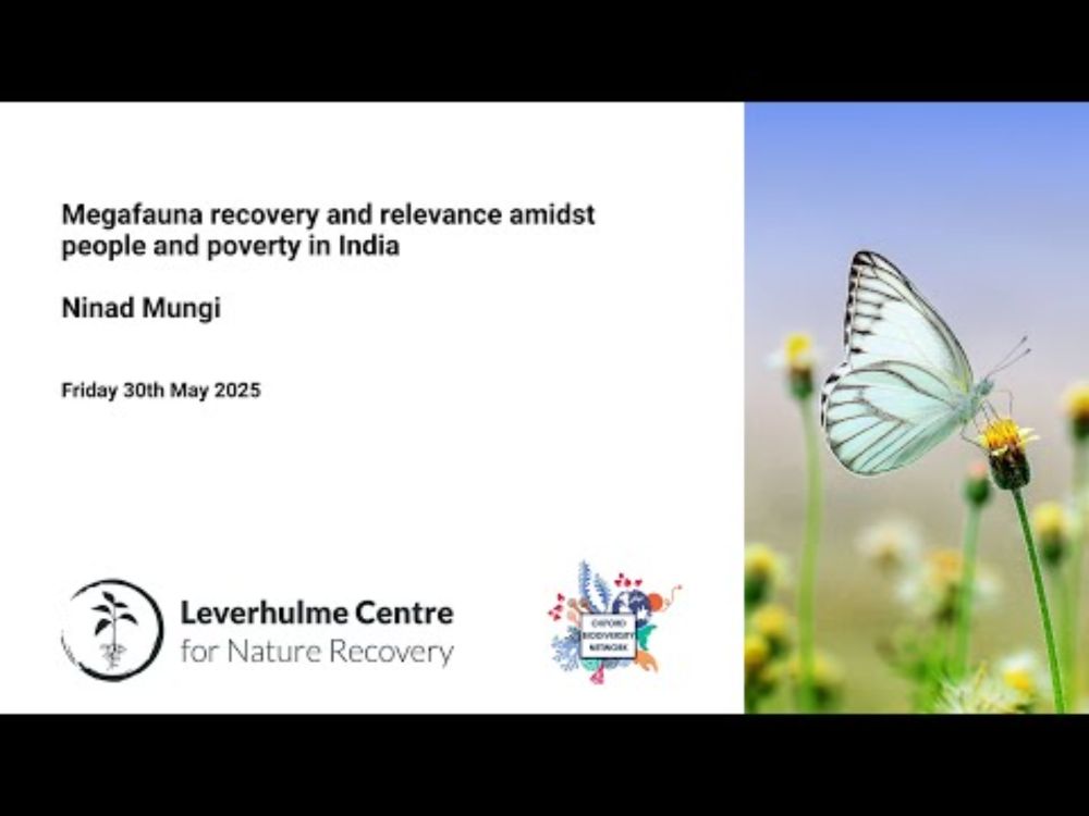 Megafauna recovery and relevance amidst people and poverty in India