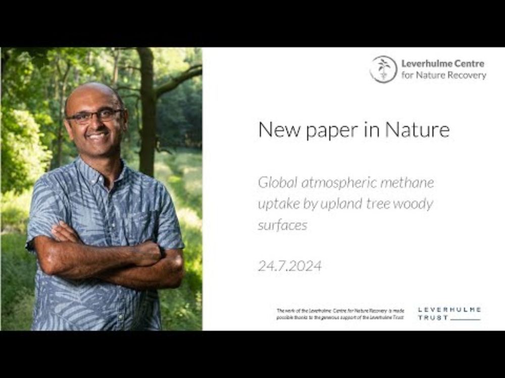 Global atmospheric methane uptake by upland tree woody surfaces