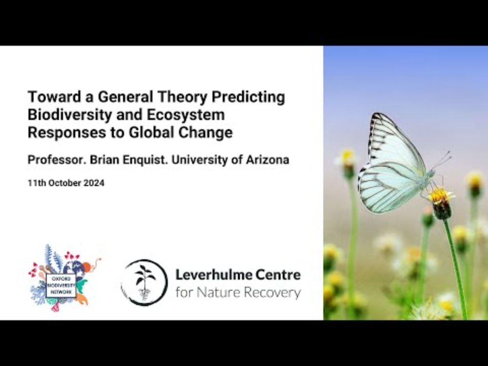 Toward a General Theory Predicting Biodiversity and Ecosystem Responses to Global Change