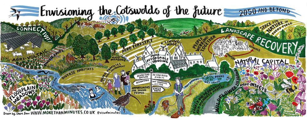 Farmer cluster brings future vision of the Cotswolds under nature recovery to life with professional illustrator