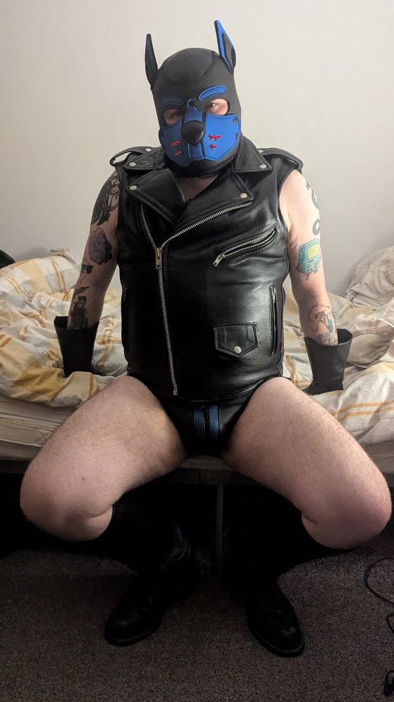 Leather pup in waistcoat, boots, gloves and pup hood, steadying himself against the bed.