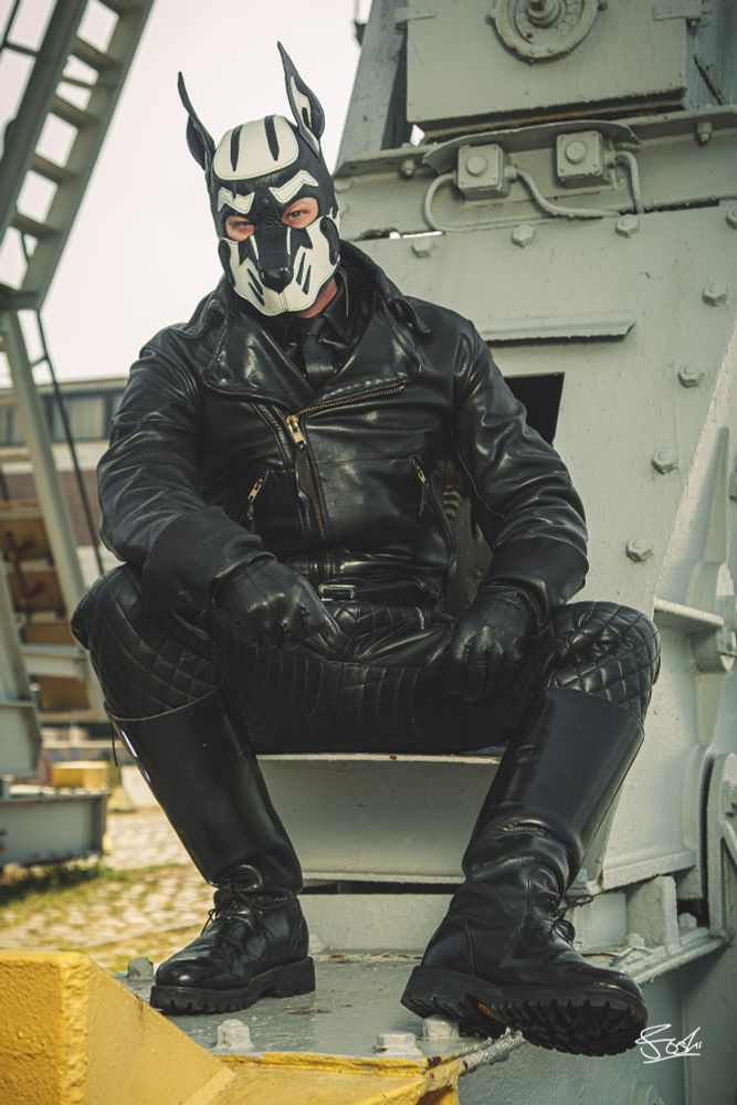 Leather pup in full leathers and patrol boots.
