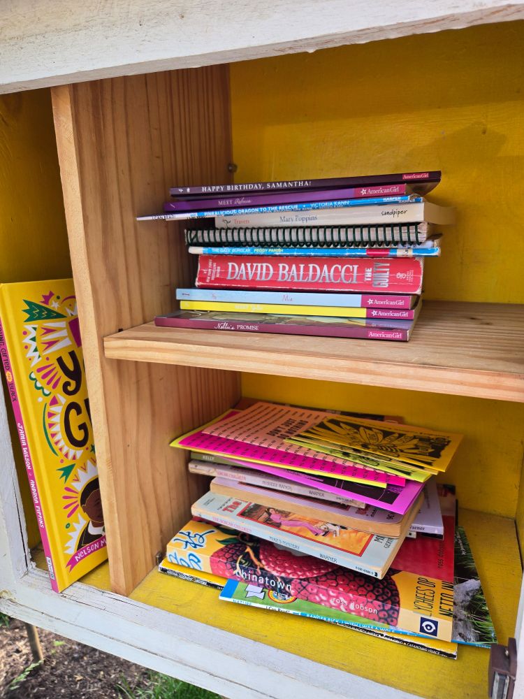 The inside of a little free library with wooden shelves, some of which are painted yellow. It contains a bunch of books and a few of the zines.