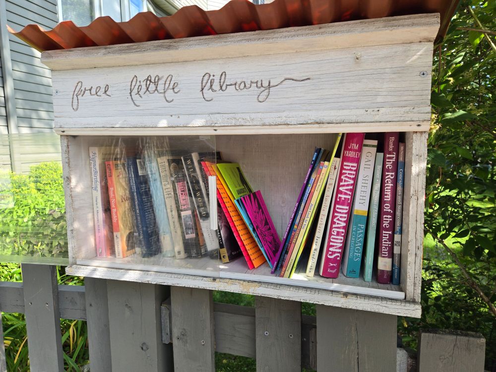 A little free library made of white wood with a corrugated metal roof. Inside it are a bunch of books and a few of the previously pictured zines. Behind it are grass and trees.