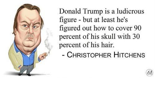 Christopher Hitchens quote. 