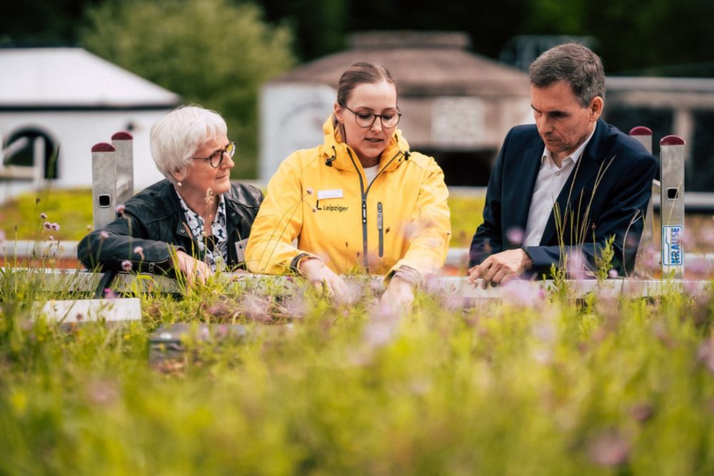 Das Gründach als Wasserspeicher: Projektpartner forschen in Leipzig zu Aufbau und Bepflanzung grüner Dächer · Leipziger Zeitung