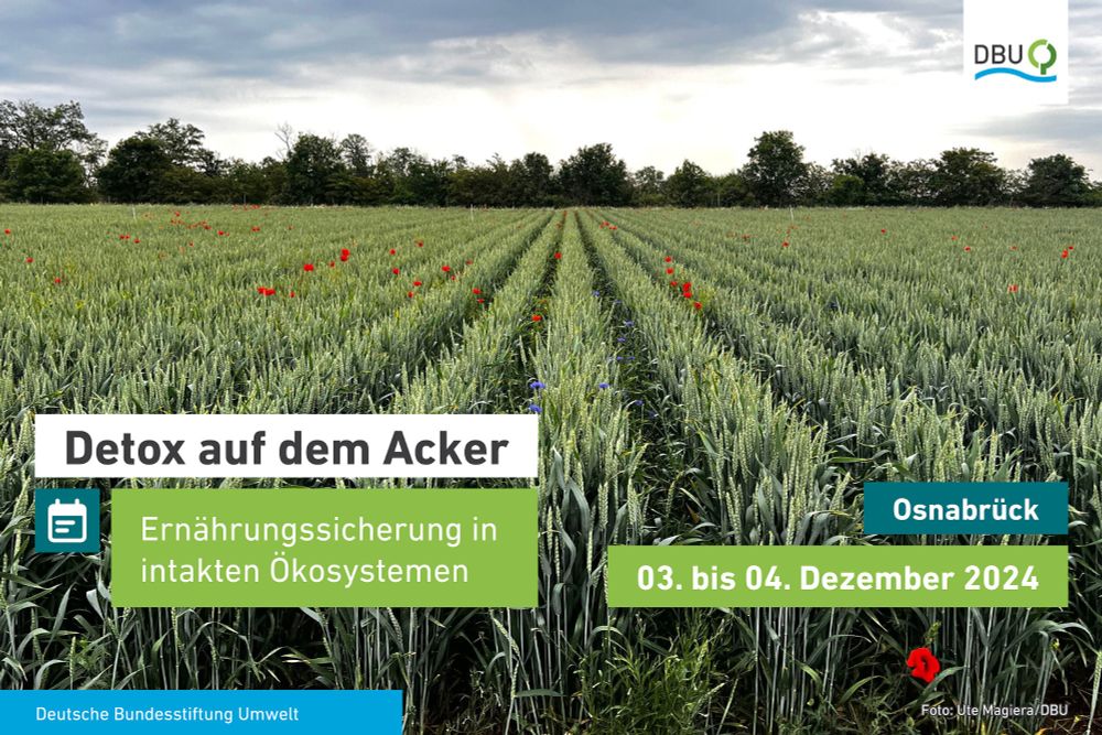 Detox auf dem Acker – Ernährungssicherung in intakten Ökosystemen