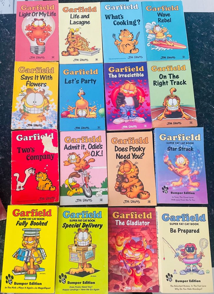 A photo of my many Garfield comic books laid out neatly. Lots of colours and illustrations of the big orange icon; eating lasagna, surfing, surrounded by flowers, dressed in denim, on a unicycle, sleeping with a teddy bear, holding a paintbrush, going on holiday. My babies.
