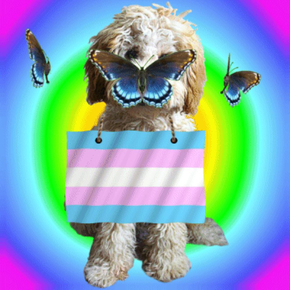 a dog holding a sign with a transgender flag and butterflies around it