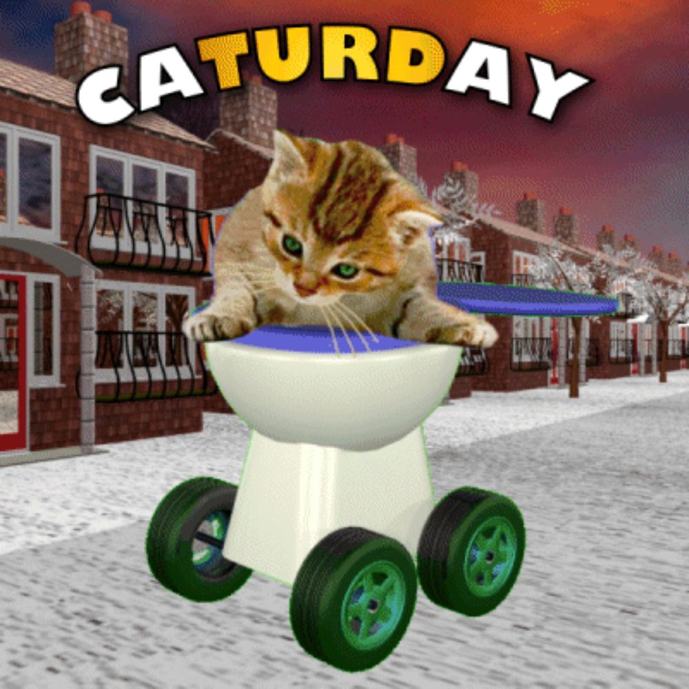 a cat is sitting on a toilet with the words saturday behind it