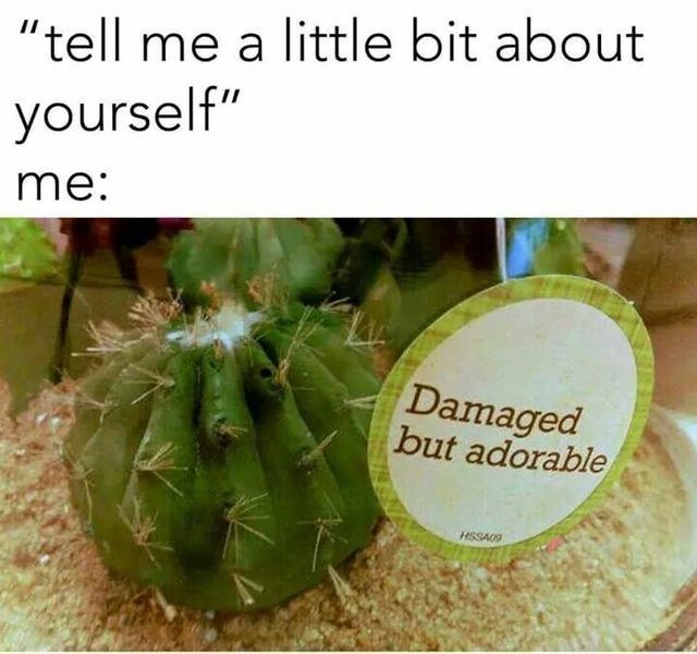 Picture of a small cactus with a label that reads "damaged but adorable"

The caption reads: "tell me a little bit about yourself"

me: [cactus image described above]