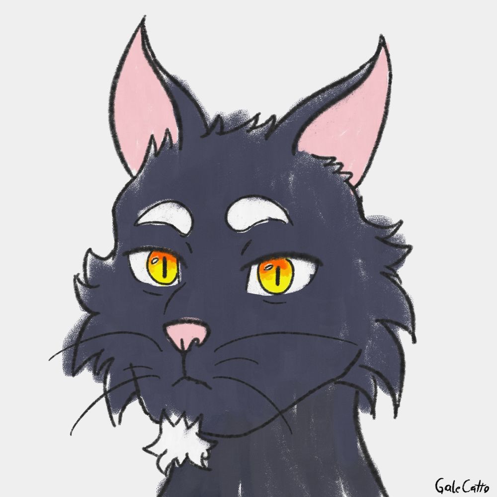 Black cat fursona with yellow and orange eyes
