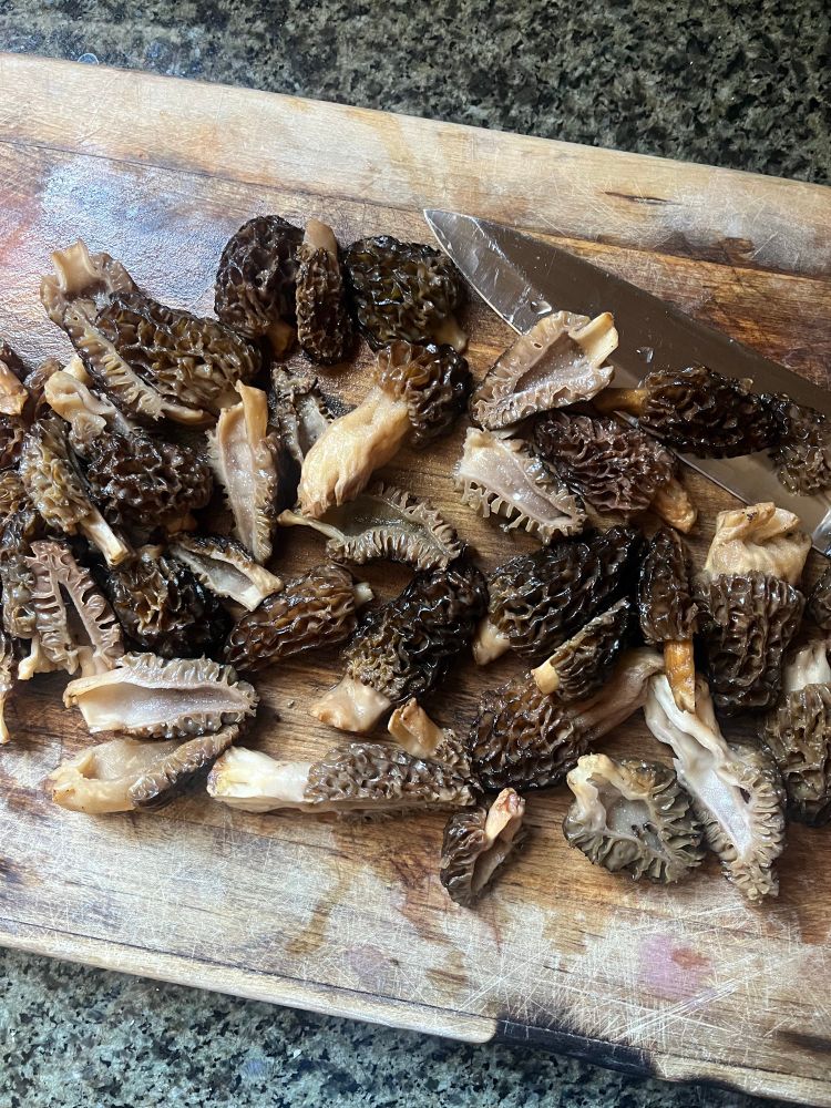 Complete morel chaos. 