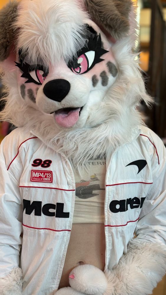 Dog fursuiter in a McLaren jacket and crop top 
