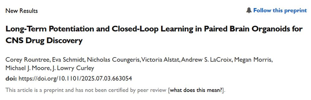 Screenshot from the linked preprint with the following text: "Long-Term Potentiation and Closed-Loop Learning in Paired Brain Organoids for CNS Drug Discovery; Corey Rountree, Eva Schmidt, Nicholas Coungeris, Victoria Alstat, Andrew S. LaCroix, Megan Morris, Michael J. Moore, J. Lowry Curley; doi: https://doi.org/10.1101/2025.07.03.663054"