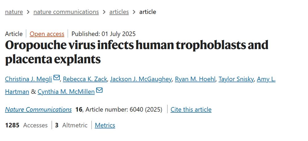 Screenshot from the paper linked in the second post, containing the following information: “Open access, Published: 01 July 2025, Oropouche virus infects human trophoblasts and placenta explants; Christina J. Megli, Rebecca K. Zack, Jackson J. McGaughey, Ryan M. Hoehl, Taylor Snisky, Amy L. Hartman & Cynthia M. McMillen; Nature Communications volume 16, Article number: 6040 (2025)”