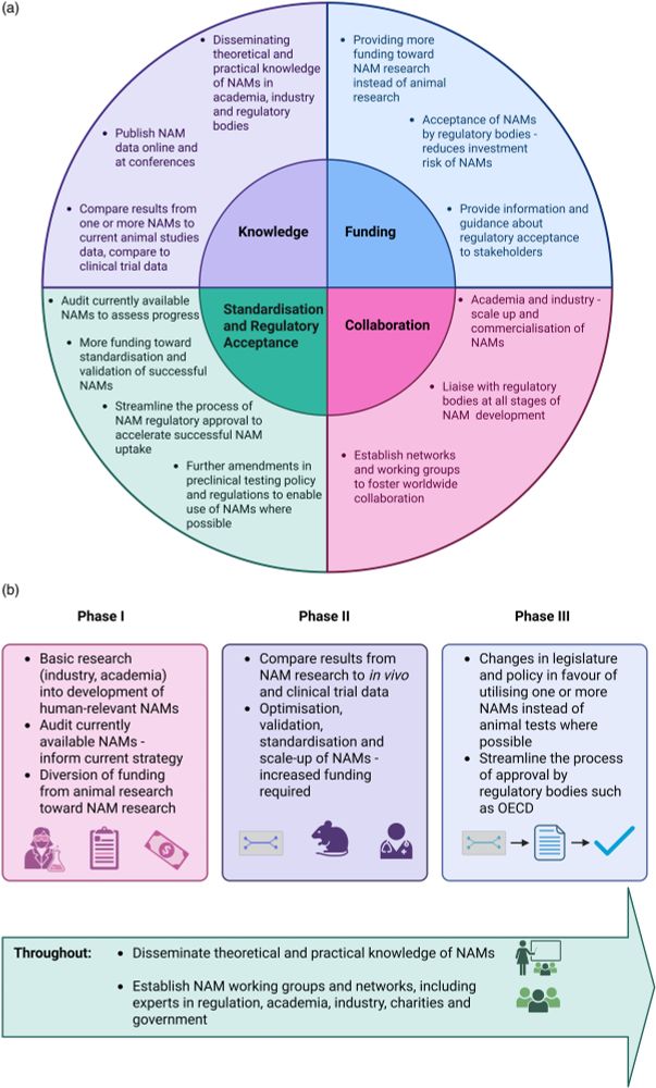 Figure 3 from the linked paper: "An outline of the necessary steps toward establishing and validating NAMs for use in basic research and regulation. (a) A schematic of the four main themes identified in this review, and ways to promote NAMs under the respective themes. (b) A tri-phasic approach to improving and disseminating NAMs, with some aspects that would be important throughout these phases."