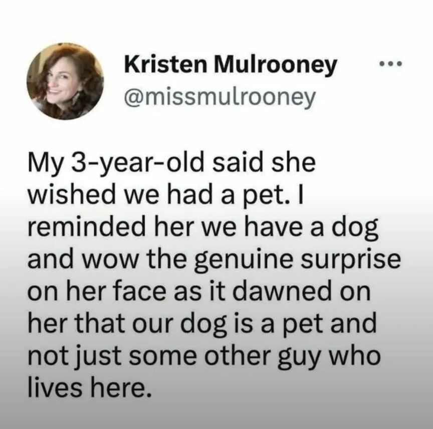 A meme about a kid realising here fury sibling is infact a pet dog