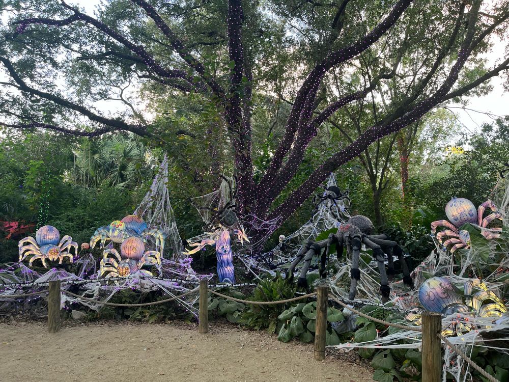 Lit-up decorative spiders