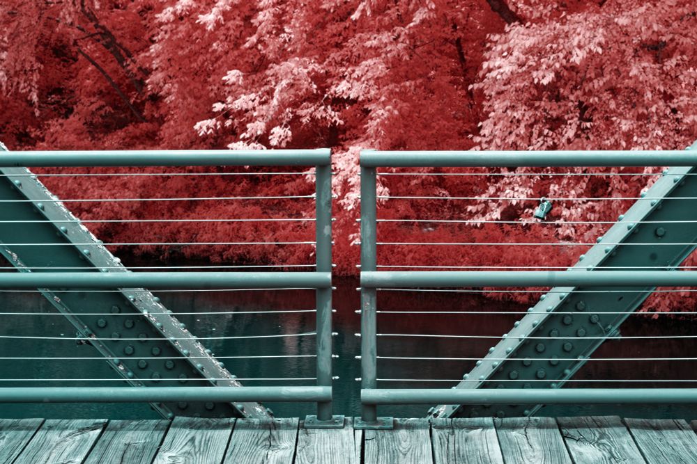 False color infrared photo of a bridge railing over water and trees