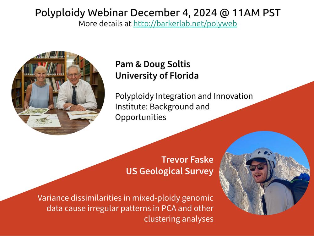 A flyer for the December 4, 2024, Polyploidy Webinar that will be at 11 AM PST on zoom. This month features Pam & Doug Soltis from the University of Florida presenting details on their new Polyploidy Integration and Innovation Institute and Trevor Faske from the US Geological Survey presenting Variance dissimilarities in mixed-ploidy genomic data cause irregular patterns in PCA and other clustering analyses. Sign up for the zoom link at https://www.barkerlab.net/polyweb 