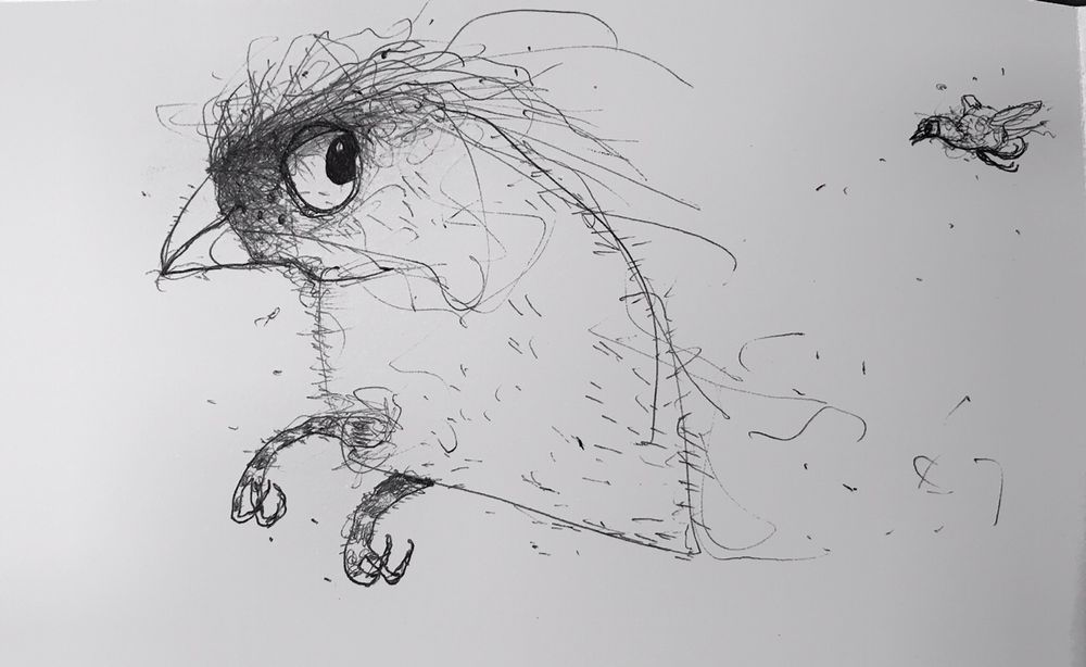 A sketchy drawn bird looking over their shoulder at a tiny bird flying behin imagining the worst, a learn but unwanted skill