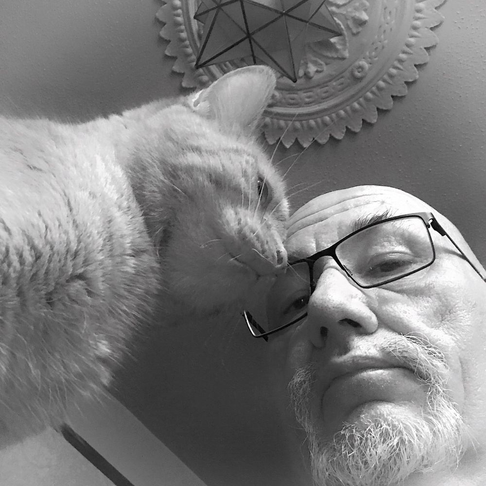 A ginger cat and a mans face, the camera underneath looking at the ceiling up at the cat and the man who is looking down at the camera. The whole thing is black and white through a red filter making the ginger cat seem etherial 

￼