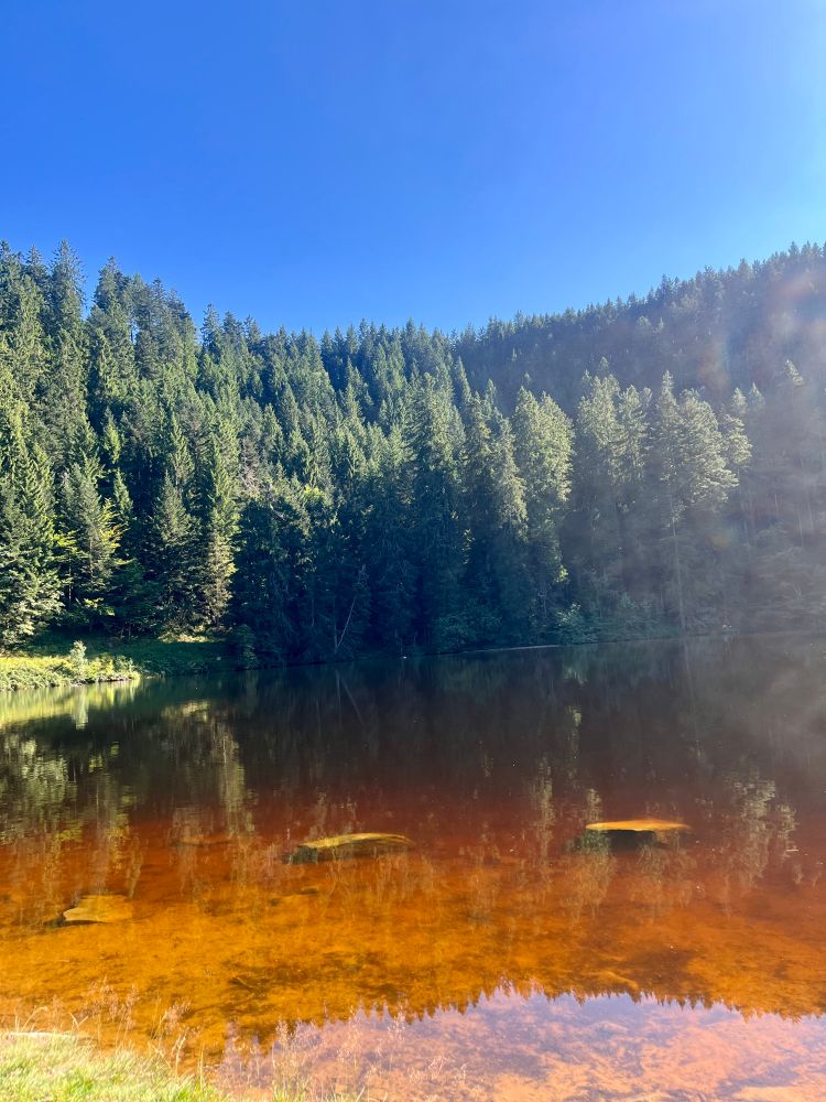 See mit bräunlich-rostrotem Wasser