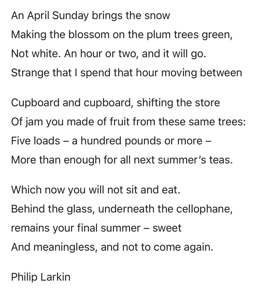 An April Sunday brings the snow
Making the blossom on the plum trees green,
Not white. An hour or two, and it will go.
Strange that I spend that hour moving between

Cupboard and cupboard, shifting the store
Of jam you made of fruit from these same trees:
Five loads – a hundred pounds or more –
More than enough for all next summer’s teas.

Which now you will not sit and eat.
Behind the glass, underneath the cellophane,
remains your final summer – sweet
And meaningless, and not to come again.

Philip Larkin