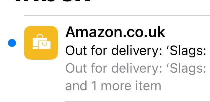An email from Amazon which says ‘Out for delivery : Slags’