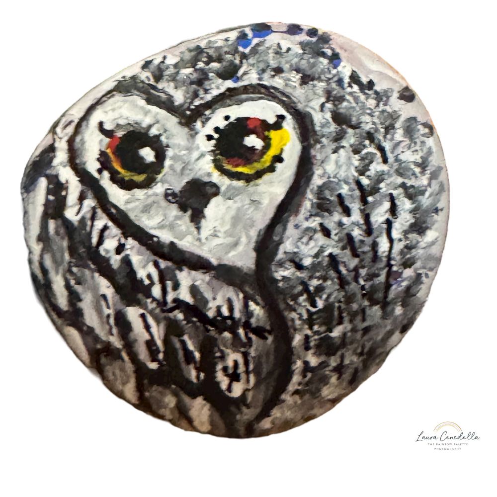 Rock painted with owl design