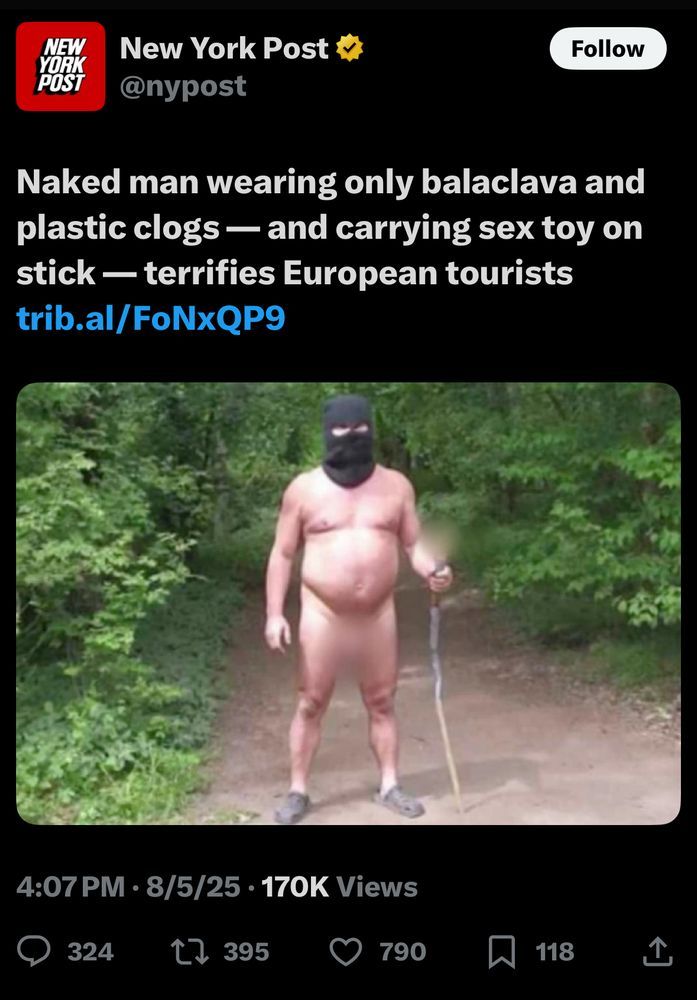 "Naked in the New York Post man wearing only balaclava and plastic clogs -- and carrying sex toy on stick -- terrifies European tourists"
as seen in the New York Post