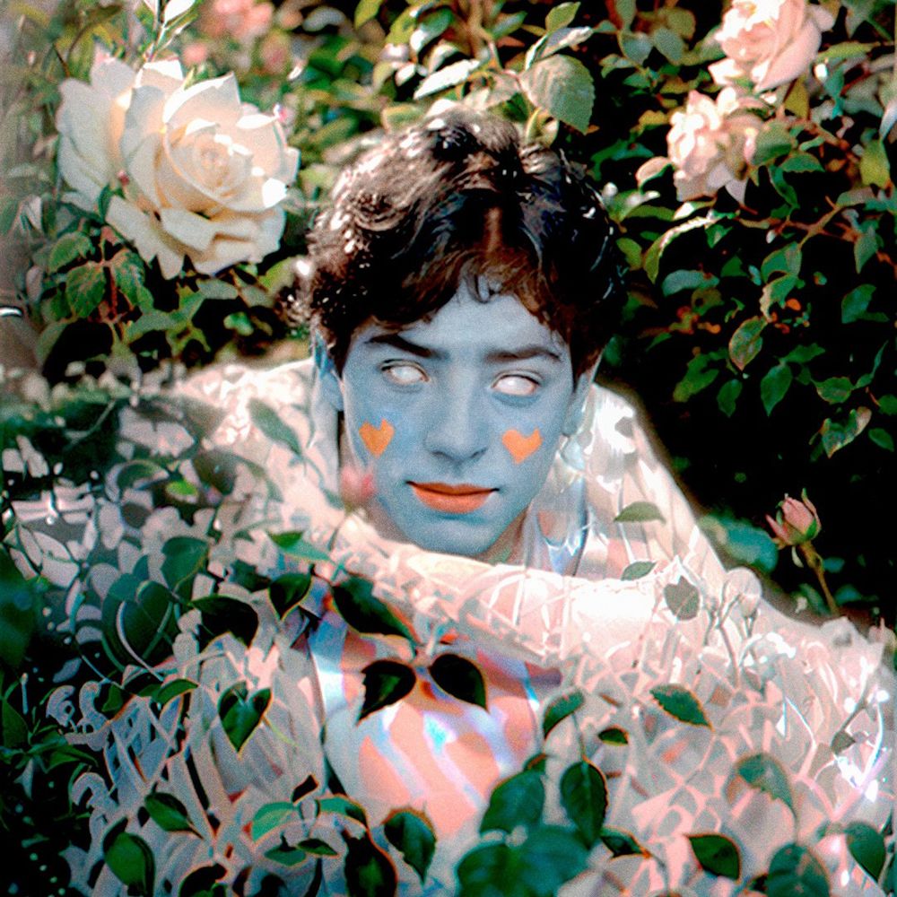Bliss in Ignorance