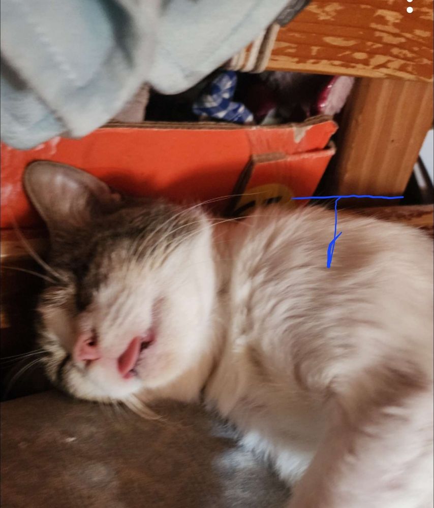 Comment image
