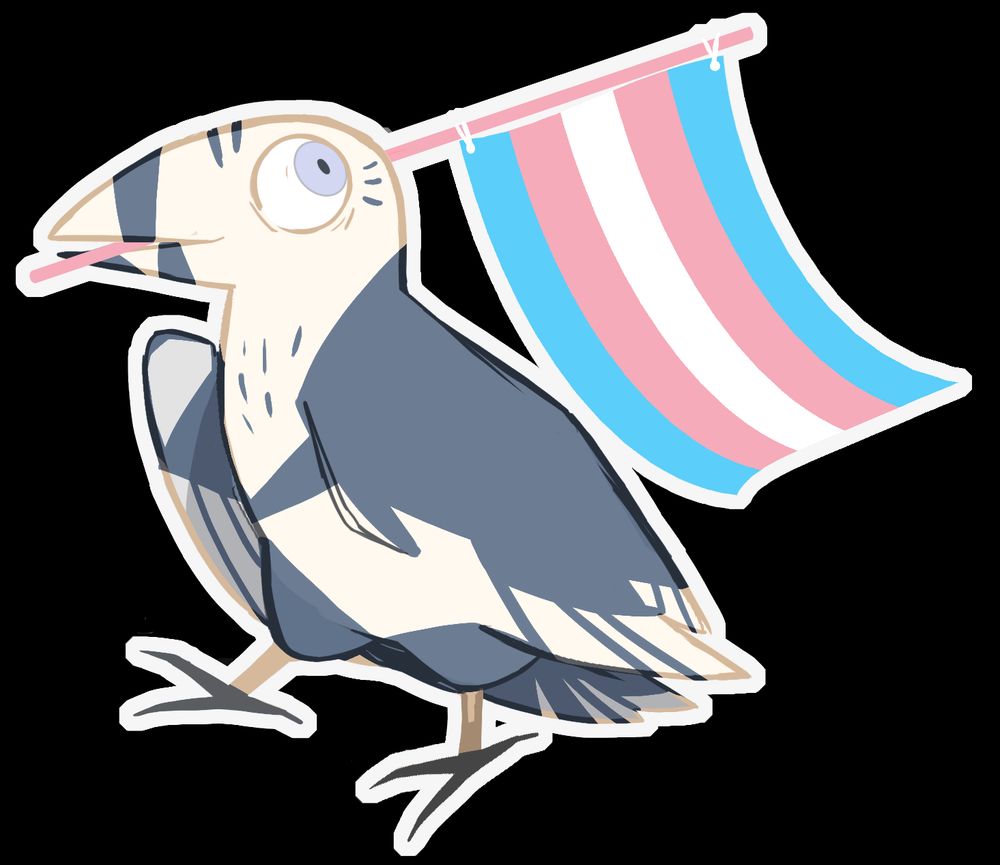 Vell the raven carrying a trans pride flag