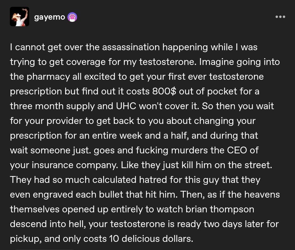 gayemo

I cannot get over the assassination happening while I was trying to get coverage for my testosterone. Imagine going into the pharmacy all excited to get your first ever testosterone prescription but find out it costs 800$ out of pocket for a three month supply and UHC won't cover it. So then you wait for your provider to get back to you about changing your prescription for an entire week and a half, and during that wait someone just. goes and fucking murders the CEO of your insurance company. Like they just kill him on the street. They had so much calculated hatred for this guy that they even engraved each bullet that hit him. Then, as if the heavens themselves opened up entirely to watch brian thompson descend into hell, your testosterone is ready two days later for pickup, and only costs 10 delicious dollars. 