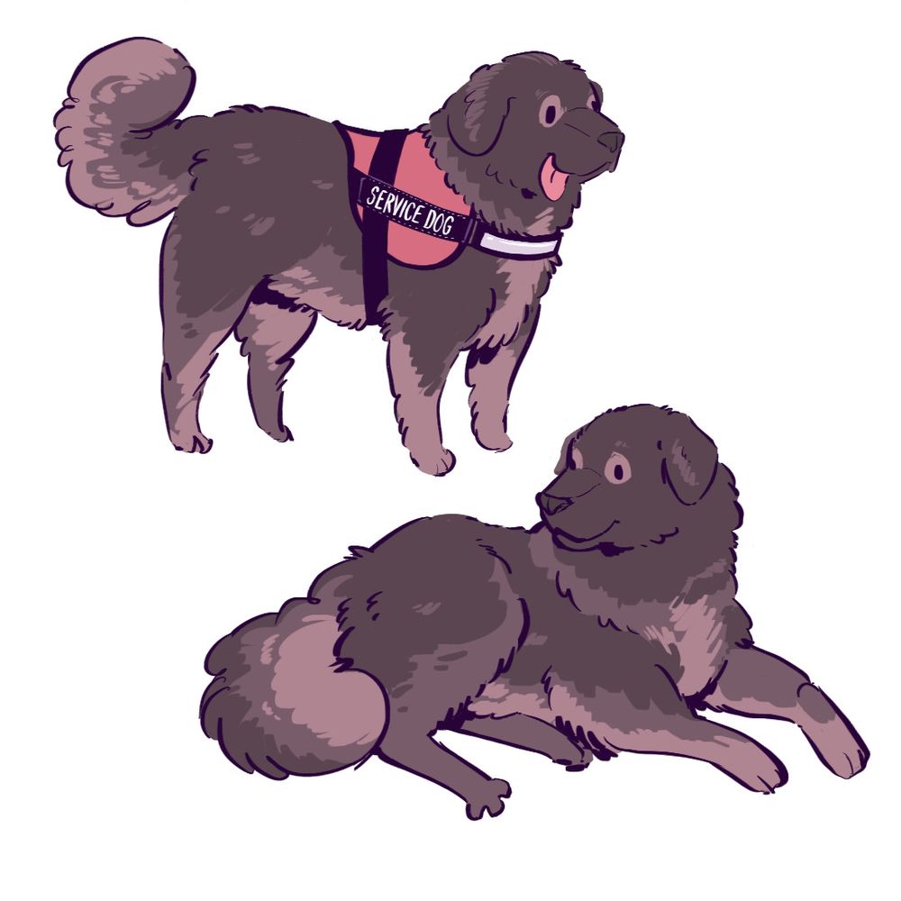 FUBAR the caucasian ovcharka service dog