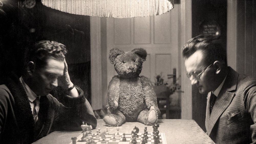 A Piercing View of the Twentieth Century, Through the Eyes of the Teddy Bear