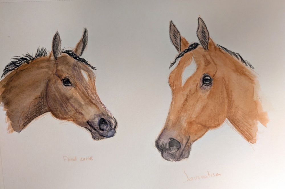 A sketch of two thoroughbred colts' faces. The one on the left is darker with a small white star and the name Flood Zone written underneath. The one on the right is brighter with a big white star and the name Journalism written underneath.