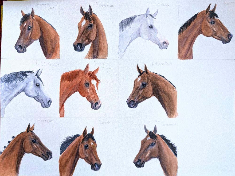 A piece of paper divided into a 4 by 3 grid of 3 inch squares, with 10 squares filled with little water color portraits of thoroughbred colts. 1 is chestnut, 2 are bright gray, and the rest are shades of bay.