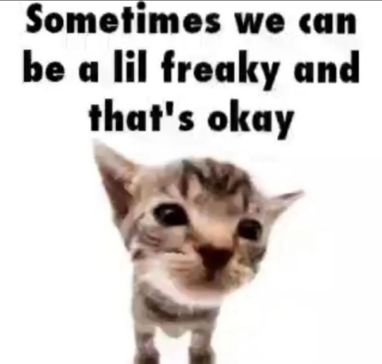 Comment image